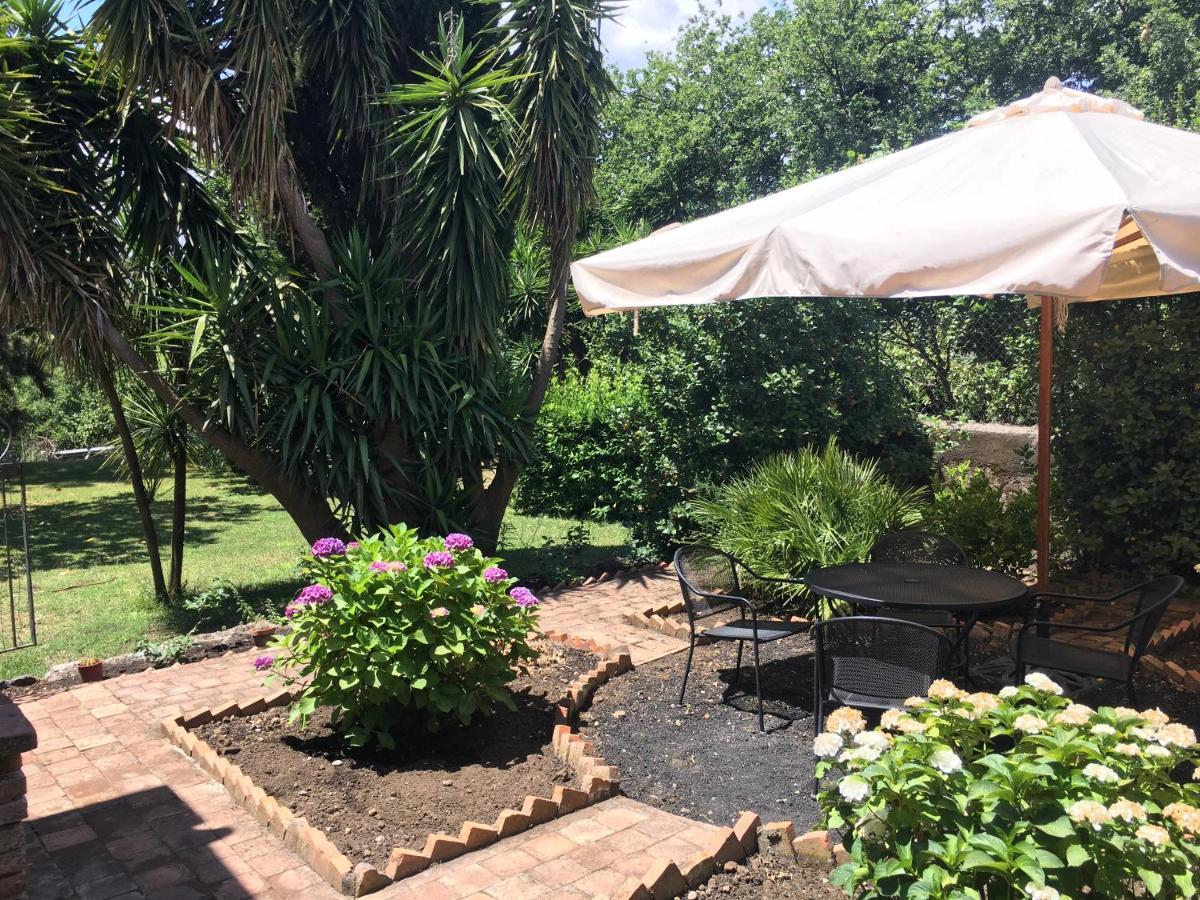 Bed And Breakfast Il Glicine Piedimonte Etneo Exterior photo
